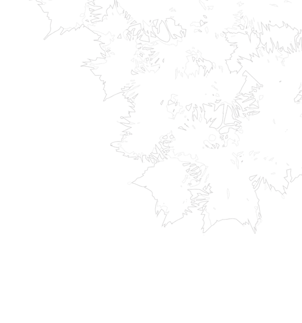 appreciationgrowth-design2